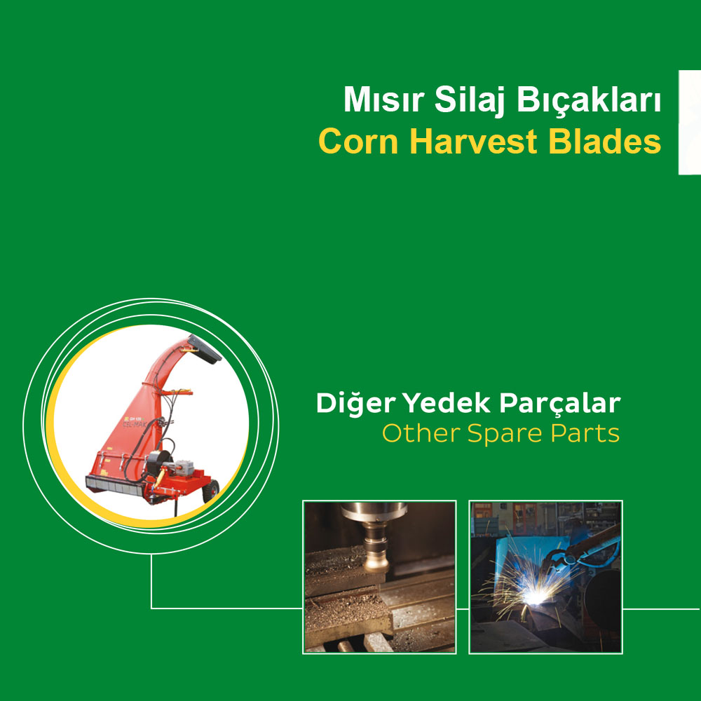 Mısır Sılaj Bıçakları