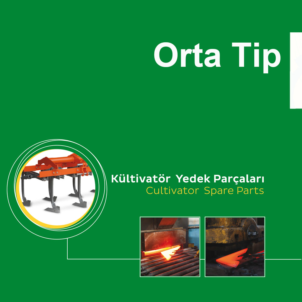 Orta Tip
